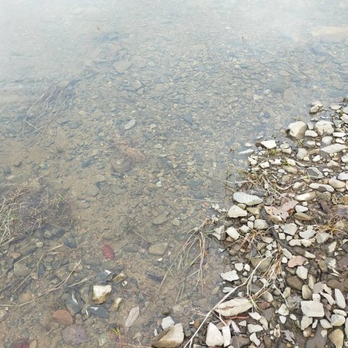 11/24 流木採取日