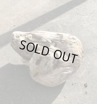 セール４０％オフ●南アルプス産 源流淡水 天然流木 （ 約４０×３５×１９cm）