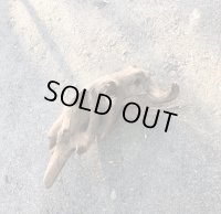 【セール20％オフ】特選流木 南アルプス産 変形流木 源流淡水 天然流木 （ 約２５cm×９cm×９）