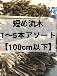 枝幹流木 セット【10cm〜100cm未満】【 1本、３本、５本セット】格安販売 