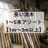 ●9/20値下げ済●【１m〜４m】【長い流木販売】枝幹 天然流木【1本、３本、５本セット】アソート まとめて販売