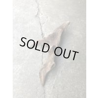 特選流木●淡水天然流木 南信州産（ 約３６cm×１６cm）