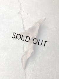 特選流木●淡水天然流木 南信州産（ 約３６cm×１６cm）