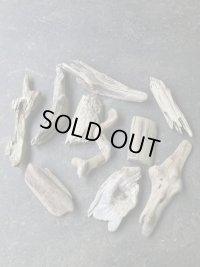 限定お得セット●南信州産 淡水天然流木【Mサイズ】10個セット 格安まとめ売り 