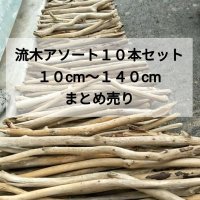 南信州産 枝幹流木 【アソート１０本セット（１０cm〜１４０cm未満）】 格安厳選 まとめ売り 激安販売