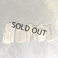 【希少流木】南信州産 淡水 天然流木 平べったい流木【平流木/板流木】５枚セット【２５cm〜３１cm】 まとめ売り 製材流木