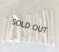 【処分激安価格】南信州産 天然流木【カット加工済】枝流木 １２本セット 格安まとめ売り （３２cm〜５５cm）