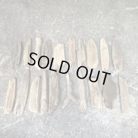 【チランジア着床に】南信州産 淡水天然流木【XSサイズくらい】２０個セット 格安まとめ売り エアープランツ吊るし着床