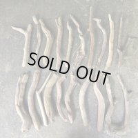【激安価格】南信州産【まがり/枝分かれ/】天然流木 枝流木 ２０本セット 格安まとめ売り （２６cm〜３７cm）