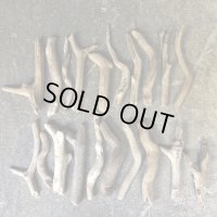 【激安価格】南信州産【まがり/枝分かれ/】天然流木 枝流木 ２０本セット 格安まとめ売り （１７cm〜３０cm）