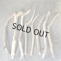 【激安価格】南信州産【まがり/枝分かれ/】天然流木 枝流木 ８本セット 格安まとめ売り （６８cm〜８１cm）