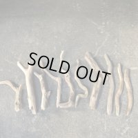 【激安価格】南信州産【まがり/枝分かれ/】天然流木 枝流木 １０本セット 格安まとめ売り （２２cm〜４１cm）