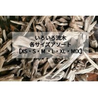 いろいろ流木 セット販売 【１０個 or ３０個セット ※XLは5、10個】 まとめ売り 【サイズXS、S、M、L、XL、MIX】