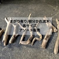 ●9/20値下げ済●【2mまで在庫あり】【変形・枝分かれ・曲がりあり】枝幹流木 格安アソート まとめて セット販売 