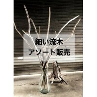 ●9/20値下げ済●【細い流木】【３本．５本．１０本セット】格安アソート セット販売【全長２０cm〜２００cm】