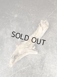 【特選流木】淡水 天然流木 南信州産（ 約４７×幅７.６〜１９cm）