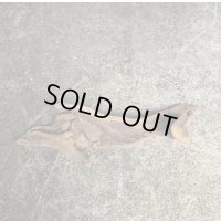 【特選流木】淡水 天然流木 南信州産（ 約３１×８．５cm）