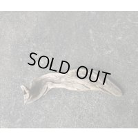 【特選流木】淡水 天然流木 南信州産（ 約２５×５.５cm）