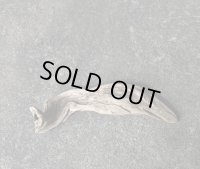 【特選流木】淡水 天然流木 南信州産（ 約２５×５.５cm）