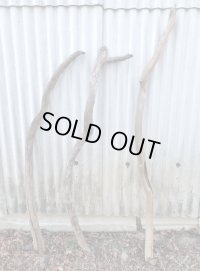 厳選品【変形枝流木】南信州産 淡水 天然流木 枝幹流木（全長１２３．１２３．１４１ｃｍ）流木インテリア インテリア フェイクグリーン ドライフラワー