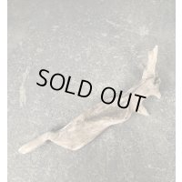 【厳選流木】淡水 天然流木 南信州産（ 約44×2.3〜8,5cm）