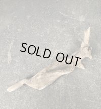 【厳選流木】淡水 天然流木 南信州産（ 約44×2.3〜8,5cm）