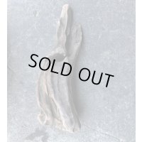 【大きめ流木】【厳選流木】淡水 天然流木 南信州産（ 約４７×１８cm）