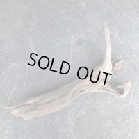 【大きめ流木】【厳選流木】淡水 天然流木 南信州産（ 約５７×３３cm）