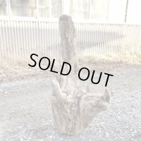 【厳選品】特大流木● 南信州産 源流淡水 天然流木 特上品（ 約１０３×５３×３７cm）大型流木