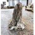 画像1: 【特大流木】 南信州産 源流淡水 天然流木 特上品 根流木（ 約８６×６２×６０cm）大型流木 (1)