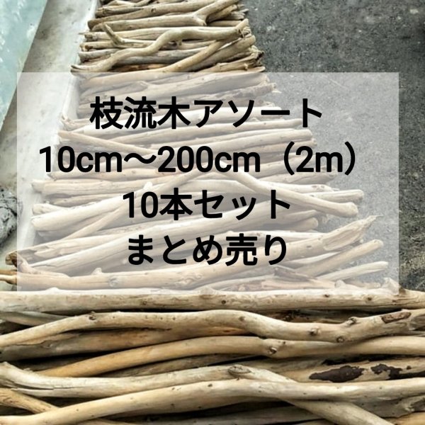 画像1:  ●3/4値下げ済●枝幹流木 まとめて アソート 10本セット 【１０cm〜２００cm未満】まとめ売り 激安販売