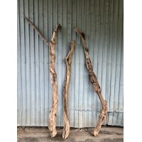 【希少・一点物】南信州産 天然流木 変形枝流木 淡水流木【全長159〜202cm 幅5〜11.9cm】｜｜いけばな・インテリア・DIY・ドライフラワー素材などに最適