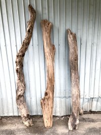【希少・一点物（太め流木）】南信州産 天然流木 太い枝流木（淡水流木）【全長142〜176cm 幅6.6〜16.8cm】｜キャットタワー・爬虫類ケージ・インテリア・DIY素材などに最適