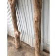 画像3: 【希少・一点物（太め枝分かれ流木）】南信州産 天然流木 太い枝流木（淡水流木）【全長232〜272cm 幅7.3〜11.6cm】｜キャットタワー・爬虫類ケージ・インテリア・DIY素材などに最適 (3)