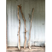 【希少・一点物】南信州産 天然流木 変形枝流木 淡水流木【全長216〜233cm 幅3.9〜9.4cm】｜｜いけばな・インテリア・DIY・ドライフラワー素材などに最適