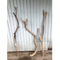 【希少・一点物】南信州産 天然流木 変形枝流木 まがり/枝分かれ流木 淡水流木【全長109〜132cm 幅1.8〜4.8cm】｜｜いけばな・インテリア・DIY・ドライフラワー素材などに最適
