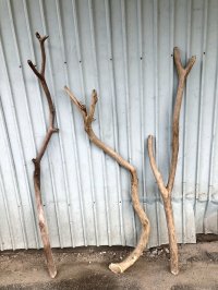 【希少・一点物】南信州産 天然流木 変形枝流木 まがり/枝分かれ流木 淡水流木【全長109〜132cm 幅1.8〜4.8cm】｜｜いけばな・インテリア・DIY・ドライフラワー素材などに最適