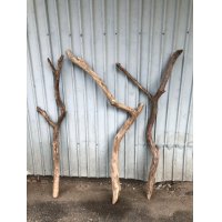 【希少・一点物】南信州産 天然流木 変形枝流木 まがり/枝分かれ流木 淡水流木【全長102〜114cm 幅2.2〜5.4cm】｜｜いけばな・インテリア・DIY・ドライフラワー素材などに最適