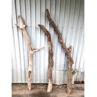 【希少・一点物】南信州産 天然流木 変形枝流木 まがり/枝分かれ流木 淡水流木【全長123〜152cm 幅5.3〜10.2cm】｜｜いけばな・インテリア・DIY・ドライフラワー素材などに最適