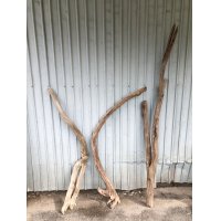 【希少・一点物】南信州産 天然流木 変形枝流木 まがり/枝分かれ流木 淡水流木【全長121〜175cm 幅3.8〜8.6cm】｜｜いけばな・インテリア・DIY・ドライフラワー素材などに最適