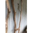 画像2: 【希少・一点物】南信州産 天然流木 変形枝流木 淡水流木【全長216〜233cm 幅3.9〜9.4cm】｜｜いけばな・インテリア・DIY・ドライフラワー素材などに最適 (2)