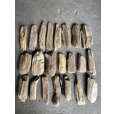 画像2: 格安流木お得セット●南信州産 淡水天然流木【S〜Mサイズ】２２個セット まとめ売り 通販 格安セット 流木【チランジア着床・ドライフラワー・ディスプレイ・インテリア】 (2)