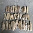 画像1: 格安流木大量お得セット●南信州産 淡水天然流木【XS〜Sサイズ】大量３０個セット まとめ売り 通販 格安セット 流木【チランジア着床・ドライフラワー・ディスプレイ・インテリア】 (1)