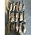 画像2: 格安流木お得セット●南信州産 淡水天然流木【Mサイズ】１５個セット まとめ売り 通販 格安セット 流木【チランジア着床・ドライフラワー・ディスプレイ・インテリア】 (2)