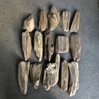 格安流木お得セット●南信州産 淡水天然流木【Mサイズ】１５個セット まとめ売り 通販 格安セット 流木【チランジア着床・ドライフラワー・ディスプレイ・インテリア】