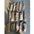 画像1: 格安流木お得セット●南信州産 淡水天然流木【Mサイズ】１５個セット まとめ売り 通販 格安セット 流木【チランジア着床・ドライフラワー・ディスプレイ・インテリア】 (1)