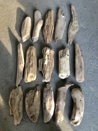 格安流木お得セット●南信州産 淡水天然流木【Mサイズ】１５個セット まとめ売り 通販 格安セット 流木【チランジア着床・ドライフラワー・ディスプレイ・インテリア】