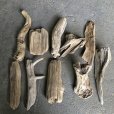 画像1: 格安流木お得セット●南信州産 淡水天然流木【M〜Ｌサイズ】１０個セット まとめ売り 通販 格安セット 流木【チランジア着床・ドライフラワー・ディスプレイ・インテリア】 (1)