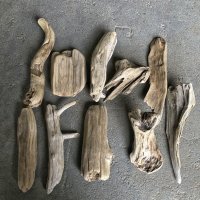 格安流木お得セット●南信州産 淡水天然流木【M〜Ｌサイズ】１０個セット まとめ売り 通販 格安セット 流木【チランジア着床・ドライフラワー・ディスプレイ・インテリア】