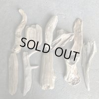 格安流木お得セット●南信州産 淡水天然流木【M〜Ｌサイズ】１０個セット まとめ売り 通販 格安セット 流木【チランジア着床・ドライフラワー・ディスプレイ・インテリア】